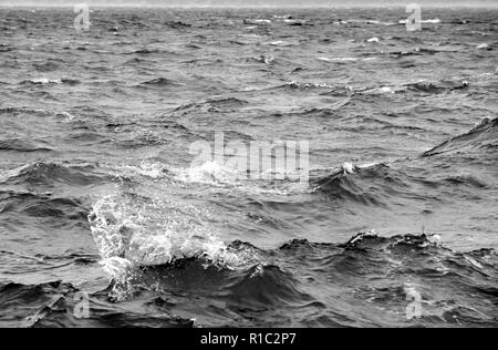 Stormy sea in black and white Stock Photo
