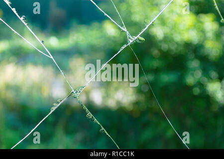 Cracks on the glass. Close-up. Stock Photo