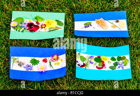 Different flowers stuck on a piece of paper Stock Photo