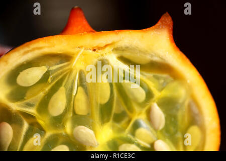 Kiwano melon (Cucumis metuliferus), 'African Horned Melon' Stock Photo