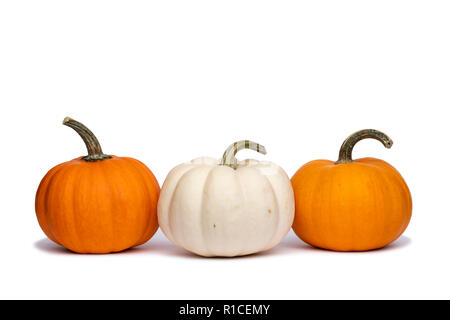 Three Mini Pumpkins - One white pumpkin between two orange pumpkins. Stock Photo