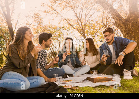 Friends in the park making a picnic Stock Photo