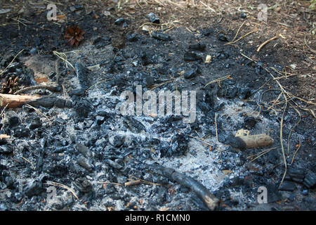 A bunch of ashes after the fire. Charcoal in the forest Stock Photo