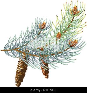 Pine cone with branch, spruce branch with a cone 10eps Stock Vector