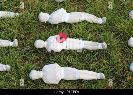 The Shrouds of the Somme is a graphic representation of loss of the 72396 British and Commonwealth soldiers who fell at the Battle of the Somme. This  Stock Photo