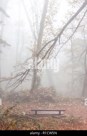 empty bench in mysterious foggy autumn forest Stock Photo