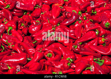 to make pepper paste, red peppers washed with water and dried in the sun Stock Photo