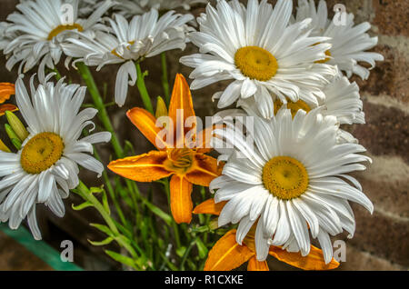 Bouquet of daisies with orange lilies on the background of an old brick wall Stock Photo
