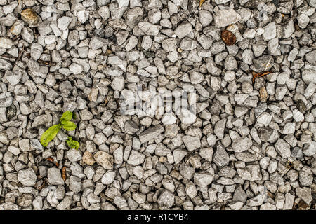 A seamless rock texture in gray color Stock Photo