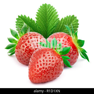 Strawberries with leaves isolated on white Stock Photo