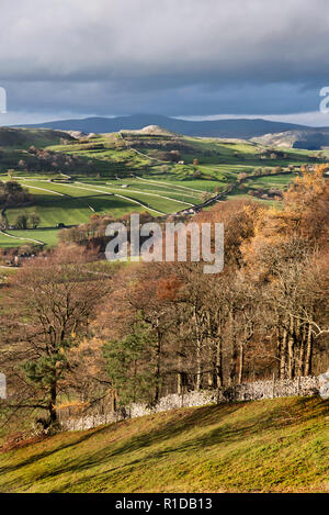 Langcliffe, North Yorkshire. 11th Nov 2018. UK Weather: Late afternoon Autumn sunlight on the landscape at Langcliffe, near Settle, North Yorkshire. Ingleborough peak in the Yorkshire Dales National Park is seen under clouds on the horizon. Credit: John Bentley/Alamy Live News Stock Photo
