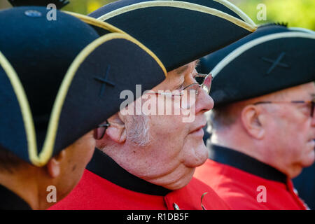 London, UK. 11th November 2018. Military veterans participate in Remembrance Day parade commemorating the 100th anniversary of the end of the First World War. Stock Photo