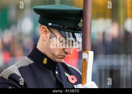 Leicester, UK. 11th Nov, 2018. 100 years on from World War One, Remembrance Day Ceremony at Victoria Park in Leicester. Credit Andy Morton/Alamy Live News. Stock Photo