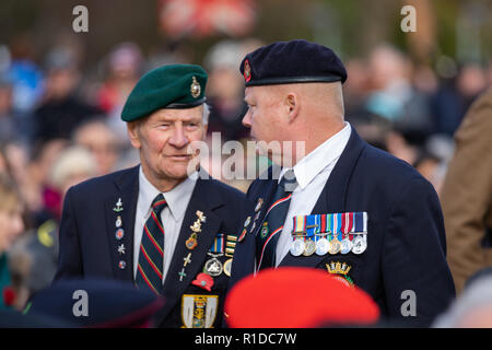 Leicester, UK. 11th Nov, 2018. 100 years on from World War One, Remembrance Day Ceremony at Victoria Park in Leicester. Credit Andy Morton/Alamy Live News. Stock Photo