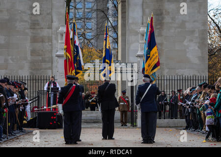 Leicester, UK. 11th Nov, 2018. 100 years on from World War One, Remembrance Day Ceremony at Victoria Park in Leicester. Credit Andy Morton/Alamy Live News. Stock Photo