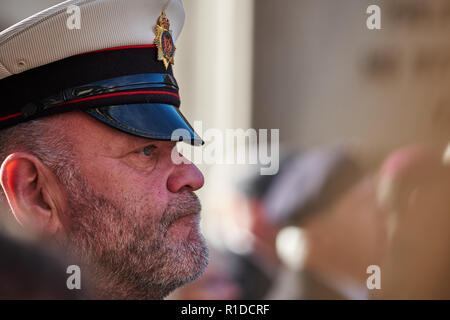 City of London, London, UK, 11th November 2018. Remembrance Day in London. Photo by Gergo Toth / Alamy Live News Stock Photo