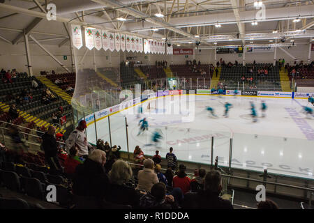 Ice Arena Wales, Cardiff