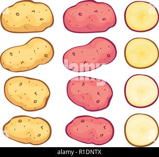 vector whole potatoes and potato cuts isolated on white background. organic vegetarian food symbols.  raw uncooked potatoes of yellow and pink colors Stock Vector