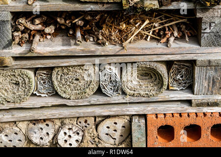 Five Star Bug Hotel at RHS Rosemoor, Great Torrington, Devon, England. Stock Photo