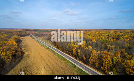 Aerial view of road in autumn forest at sunset near the corn field Stock Photo