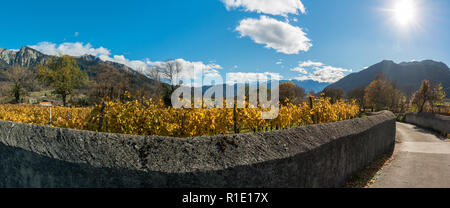 golden vineyard and grapevine country landscape with a view of mountains and valley and an old traditional rock wall and road in foreground Stock Photo