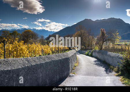 golden vineyard and grapevine country landscape with a view of mountains and valley and an old traditional rock wall and road in foreground Stock Photo