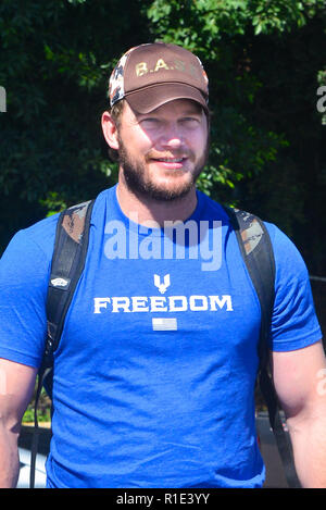 Chris Pratt looks very muscular after a 5 hour workout session with his personal trainer in Hollywood  Featuring: Chris Pratt Where: Los Angeles, California, United States When: 11 Oct 2018 Credit: WENN.com Stock Photo