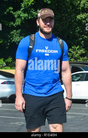 Chris Pratt looks very muscular after a 5 hour workout session with his personal trainer in Hollywood  Featuring: Chris Pratt Where: Los Angeles, California, United States When: 11 Oct 2018 Credit: WENN.com Stock Photo