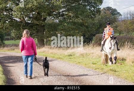 Lady walking her dog while under control, passing a horse and rider, England, UK Stock Photo