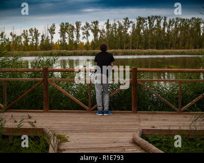 A person in a viewpoint with a wooden railing contemplating a river in autumn Stock Photo