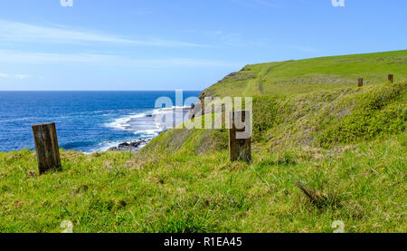 Section of the Kiama to Gerringong Coastal Walk excellent for native wildlife and whale watching NSW, Australia, NSW, Australia. Stock Photo