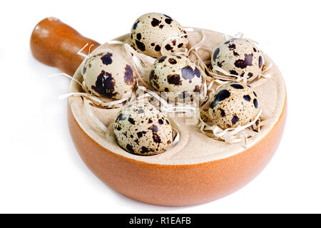 six quail eggs close up shot isolated on a white background Stock Photo
