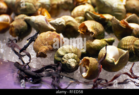 Fresh seafoods in dish with wine Stock Photo