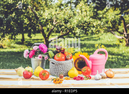 Fun and playful set of different vegetables and fruits on the table with bucket full of asters and pink watering can outdoors in autumn, harvest conce Stock Photo