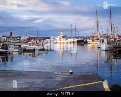 Harbor of Husavik, Iceland with ships in the early morning Stock Photo