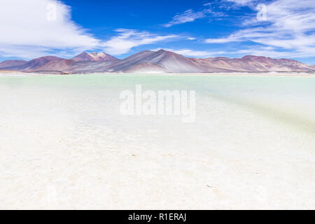 The amazing 'Salar de Piedras Rojas' (Red Stones Saltlake) inside Atacama Desert at Chile in the Andes, an amazing and colorful landscape in Chile Stock Photo
