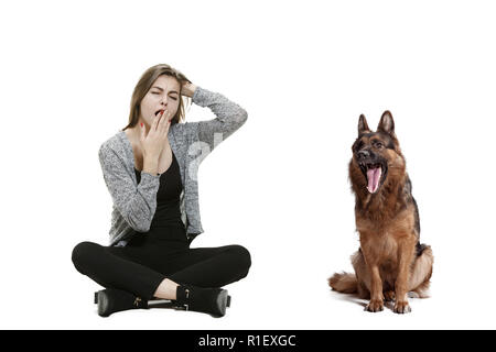 The yawning bored woman and her dog over white background. Shetland Sheepdog sitting in front of a white studio background. The concept of humans and animals same emotions Stock Photo