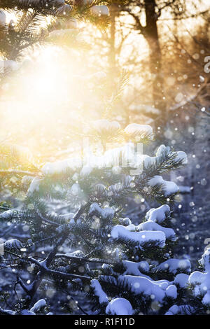 Abstract Nature Landscape with New Year 2027 Sign on a blue sky ...