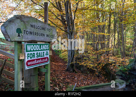 Privately owned braodleaf woodland, with public rights of way and open access, Towerburn Wood Jedburgh Scottish Borders. Stock Photo