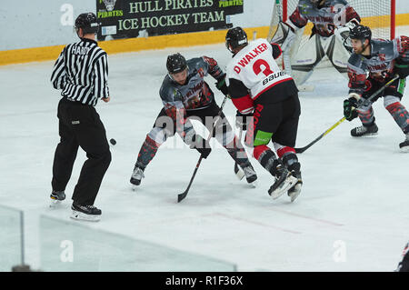 Hull Pirates Ice Hockey Team wearing there Lest We Forget remembrance day  shirts Stock Photo - Alamy