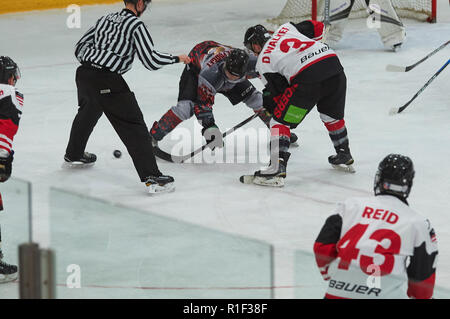 Hull pirates ice hockey hi-res stock photography and images - Alamy