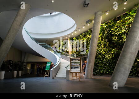 PRAGUE, CZECH REPUBLIC - MAY 19 2018: Vertical garden indoors, living green wall with flowers and plants under artificial lighting on May 19, 2018 Stock Photo
