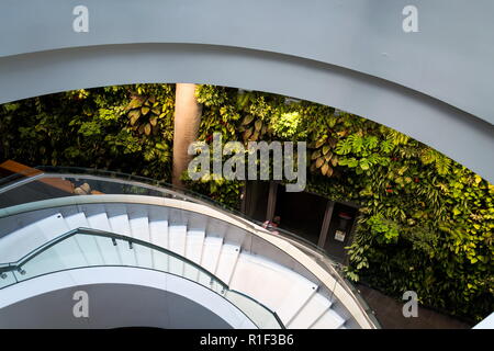 PRAGUE, CZECH REPUBLIC - MAY 19 2018: Vertical garden indoors, living green wall with flowers and plants under artificial lighting on May 19, 2018 Stock Photo
