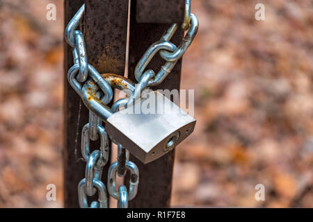 Metal silver padlock locked on an iron vintage gate and chain, with red autumn foliage at the background. Stock Photo