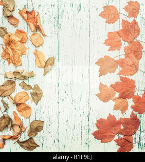 autumn composition, various yellow leaves, on a wooden background, space for text flat lay Stock Photo