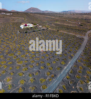 Aerial view of the wine cultivations on the volcanic soils of the island of Lanzarote, plains and hills in the hinterland. Canary Islands, Spain Stock Photo
