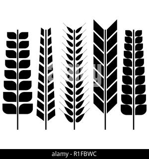 Set of various spikelets of wheat. Black silhouettes on a white background, vector illustration. Stock Vector