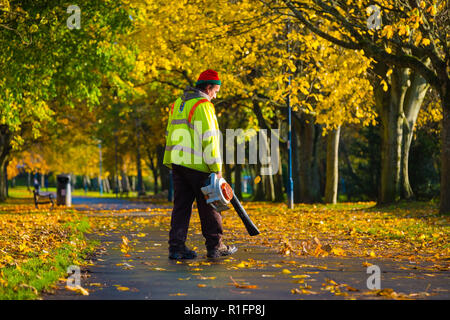 Aberystwyth, Wales, UK. 12th November, 2018.  UK Weather: A local authority Ceredigion County Council  worker using a leaf blower has the seemingly endless task of blowing the fallen autumn leaves off the footpaths down Plascrug Avenue pocket park in Aberystwyth, to help make it safe for pedestrians,  and children when they walk and cycle to school photo credit: Keith Morris / Alamy Live News Stock Photo