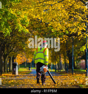 Aberystwyth, Wales, UK. 12th November, 2018.  UK Weather: A local authority Ceredigion County Council  worker using a leaf blower has the seemingly endless task of blowing the fallen autumn leaves off the footpaths down Plascrug Avenue pocket park in Aberystwyth, to help make it safe for pedestrians,  and children when they walk and cycle to school photo credit: Keith Morris / Alamy Live News Stock Photo
