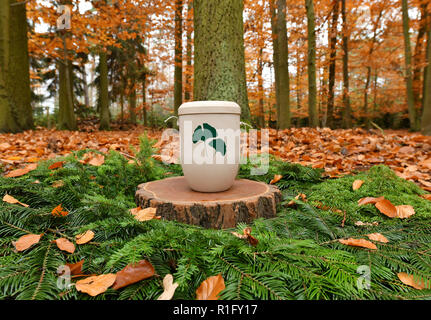 Nuthetal, Germany. 12th Nov, 2018. A biodegradable urn stands on a sample grave in the Friedwald near Nuthetal. The burial in specially designated forest areas offers an alternative to the classical burial in the cemetery. Credit: Bernd Settnik/dpa-Zentralbild/dpa/Alamy Live News Stock Photo